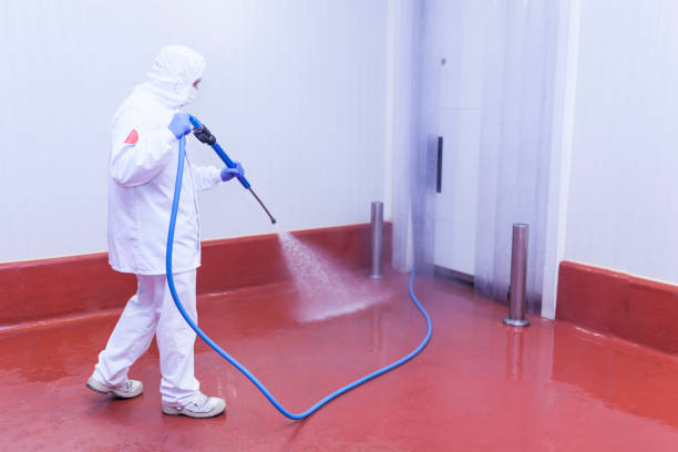 Trusted Frackville, PA Pressure Washing Services Experts